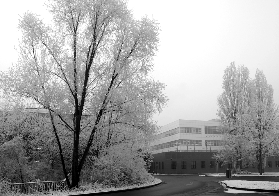 Rhein-Kreis-Neuss im Winter