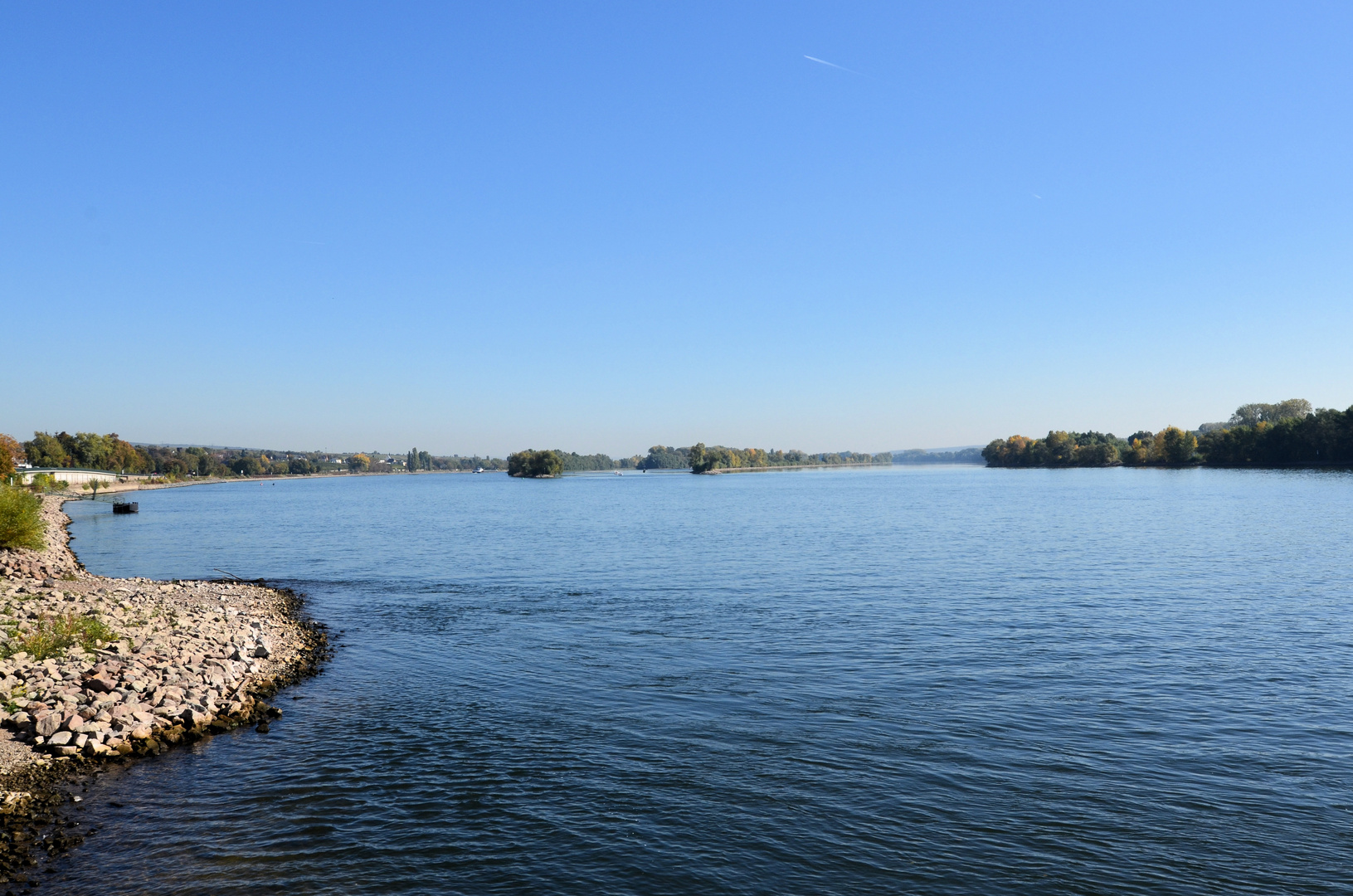 Rhein mit Niedrigwasser