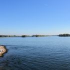 Rhein mit Niedrigwasser