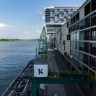 Rhein mit Promenade am Rheinauhafen