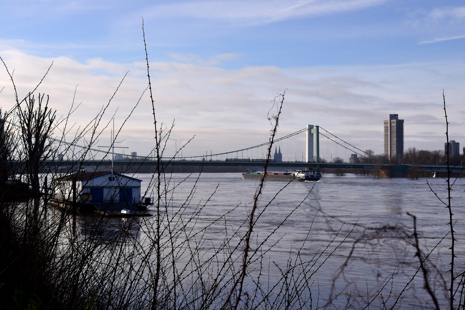 Rhein - Mühlheimer Brücke