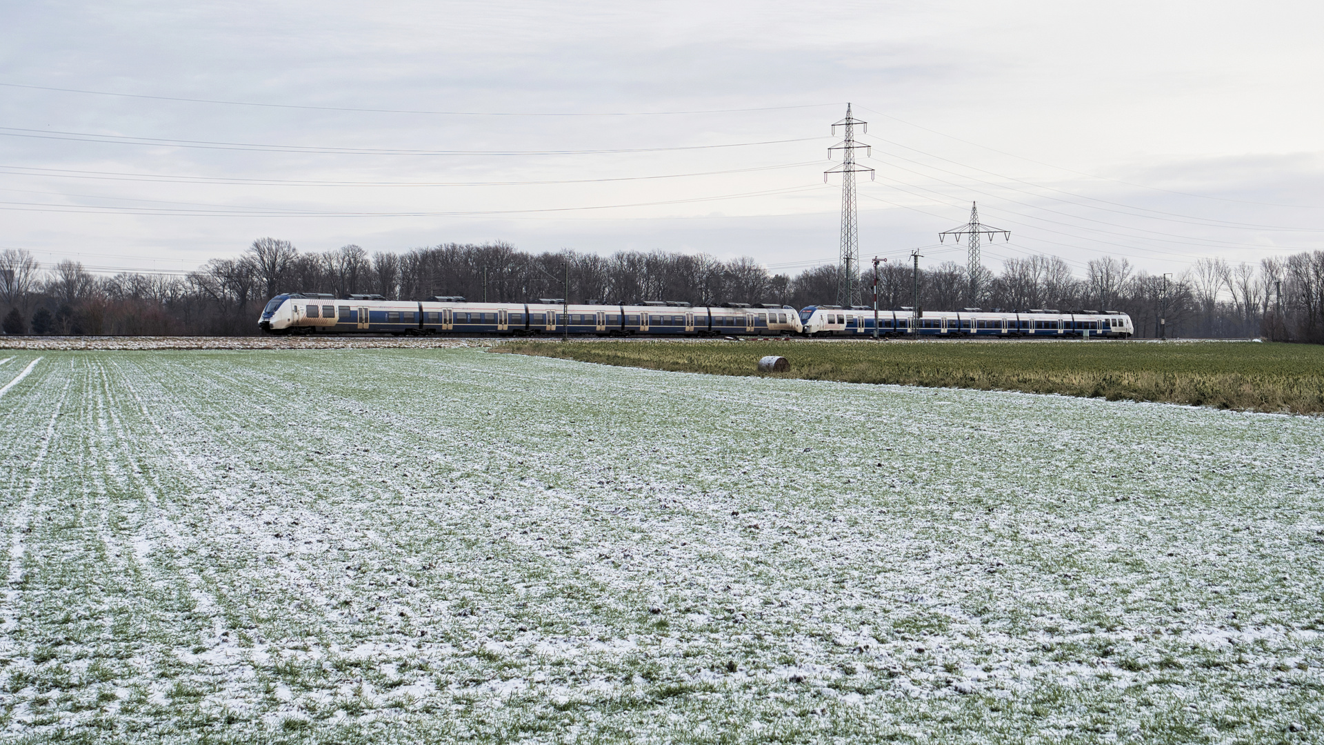 Rhein-Münsterland-Express bei Neuss Vogelsang