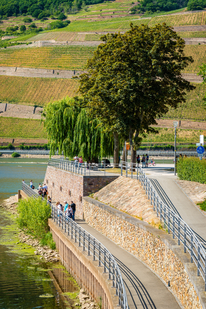 Rhein-Nahe-Eck 50