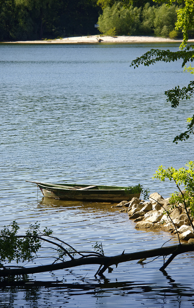 Rhein nahe Wörth