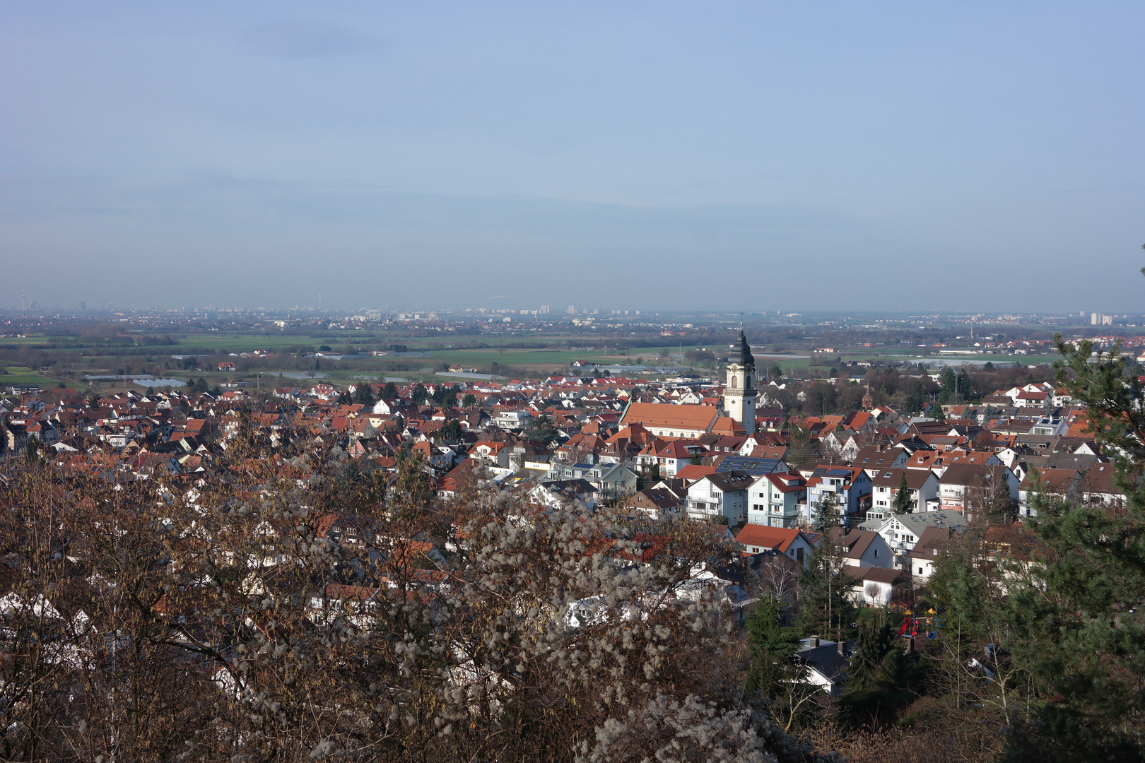 Rhein-Neckar-Ebene