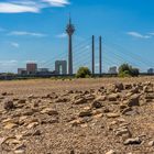 Rhein niedrig Wasser 04