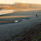 Rhein-Niedrigwasser (2)