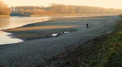 Rhein-Niedrigwasser (2)