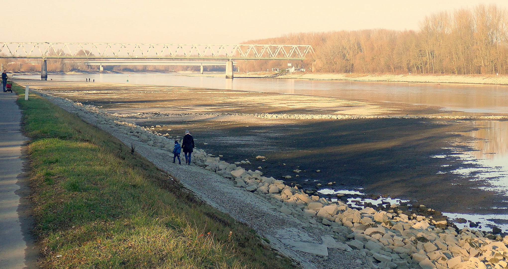 Rhein-Niedrigwasser (3)