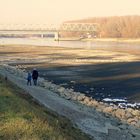 Rhein-Niedrigwasser (3)