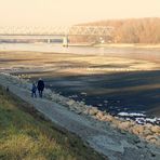 Rhein-Niedrigwasser (3)