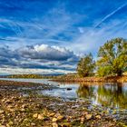 Rhein Niedrigwasser