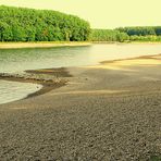 Rhein-Niedrigwasser in Germersheim (1)