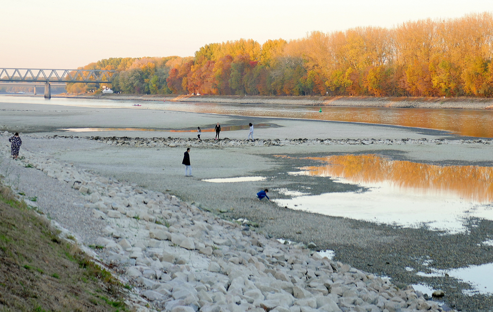 RheinNiedrigwasser(1) Foto &amp; Bild world, dokumentation, sand Bilder