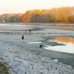 Rhein-Niedrigwasser(1)