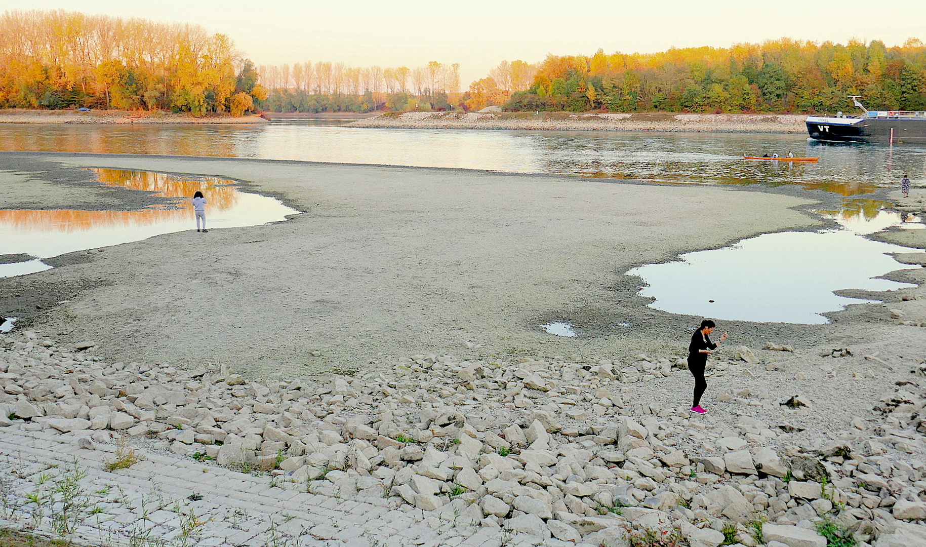 Rhein-Niedrigwasser(2)