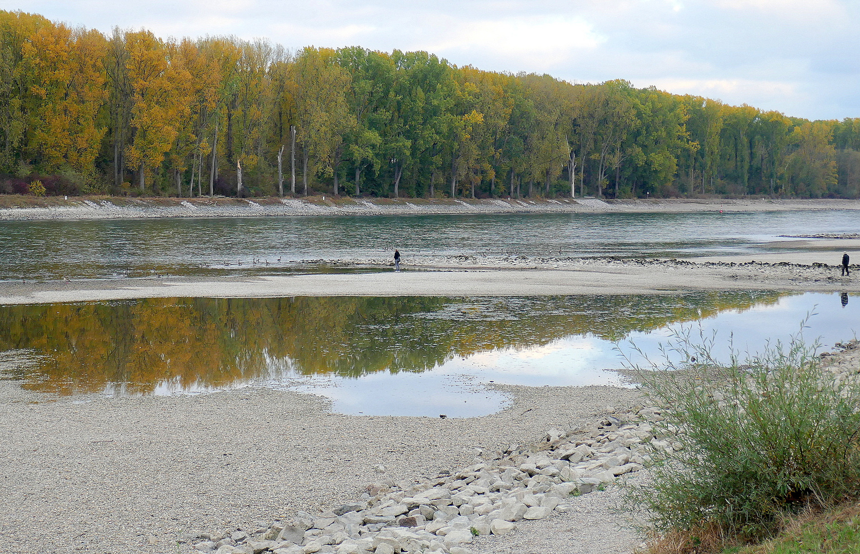 Rhein-Niedrigwasser(3)