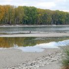 Rhein-Niedrigwasser(3)