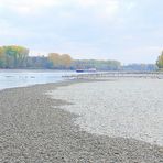 Rhein-Niedrigwasser(6)