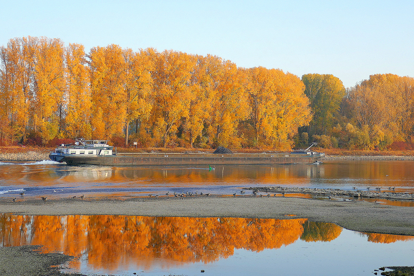 Rhein-Niedrigwasser(7)