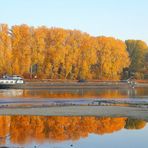 Rhein-Niedrigwasser(7)