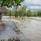 Rhein Pegelstand b. Rheinfelden 3.