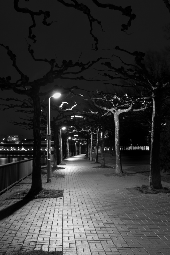 Rhein Promenade