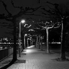 Rhein Promenade