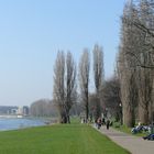 Rhein-Promenade