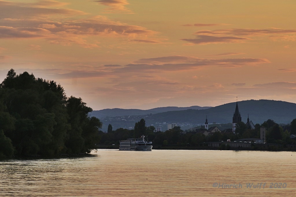 Rhein Rheingau Oestrich Schiff