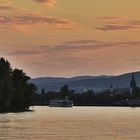 Rhein Rheingau Oestrich Schiff