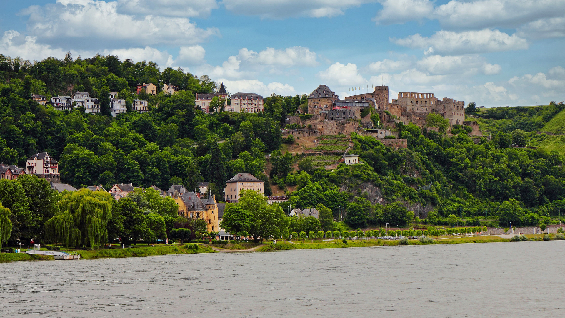 Rhein River Tour