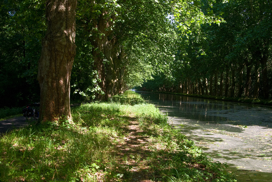 Rhein-Rohne-Kanal II