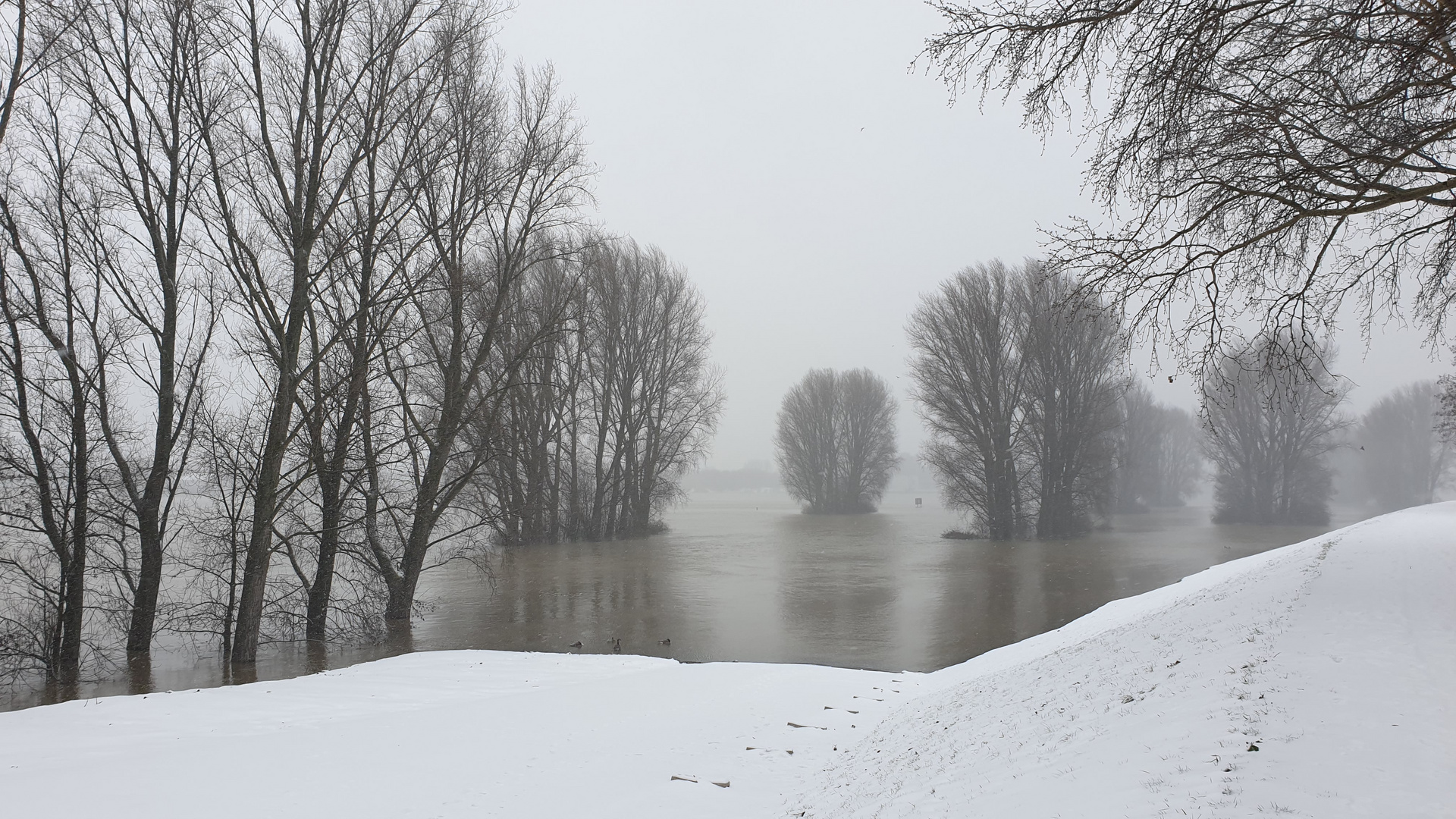 Rhein Ruhr Winter