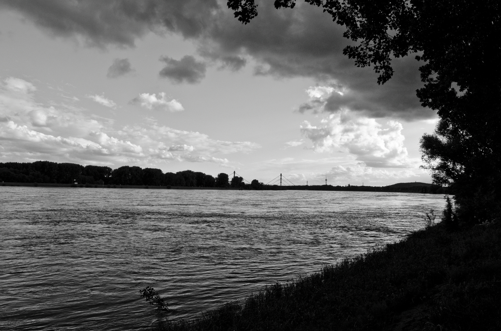 Rhein Schwarz Weiß