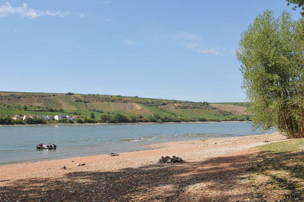 Rhein – Sommer: Die Dürre geht (vermutlich) weiter