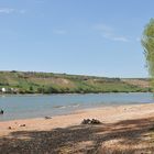 Rhein – Sommer: Die Dürre geht (vermutlich) weiter