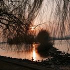 Rhein. Sonnenuntergang