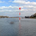 Rhein-Stand