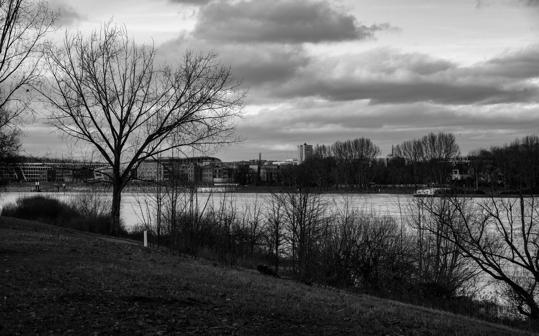 Rhein-Stimmung