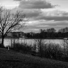 Rhein-Stimmung