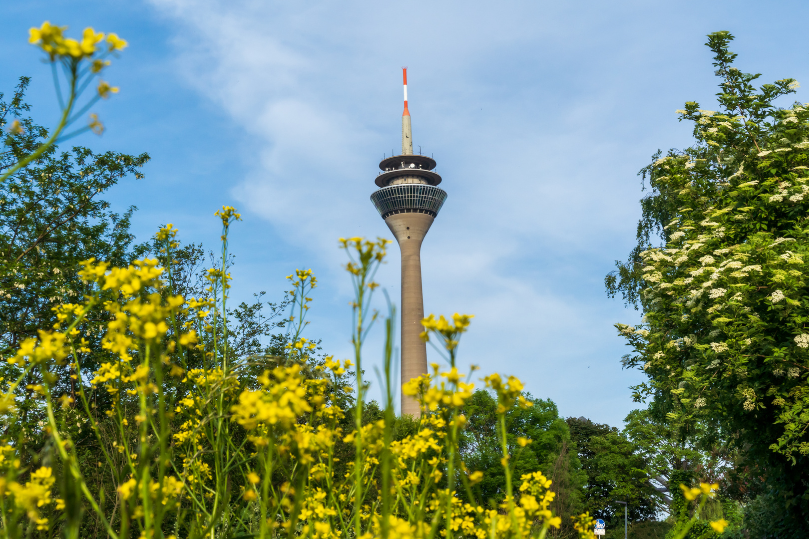 Rhein Tower, Düsseldorf