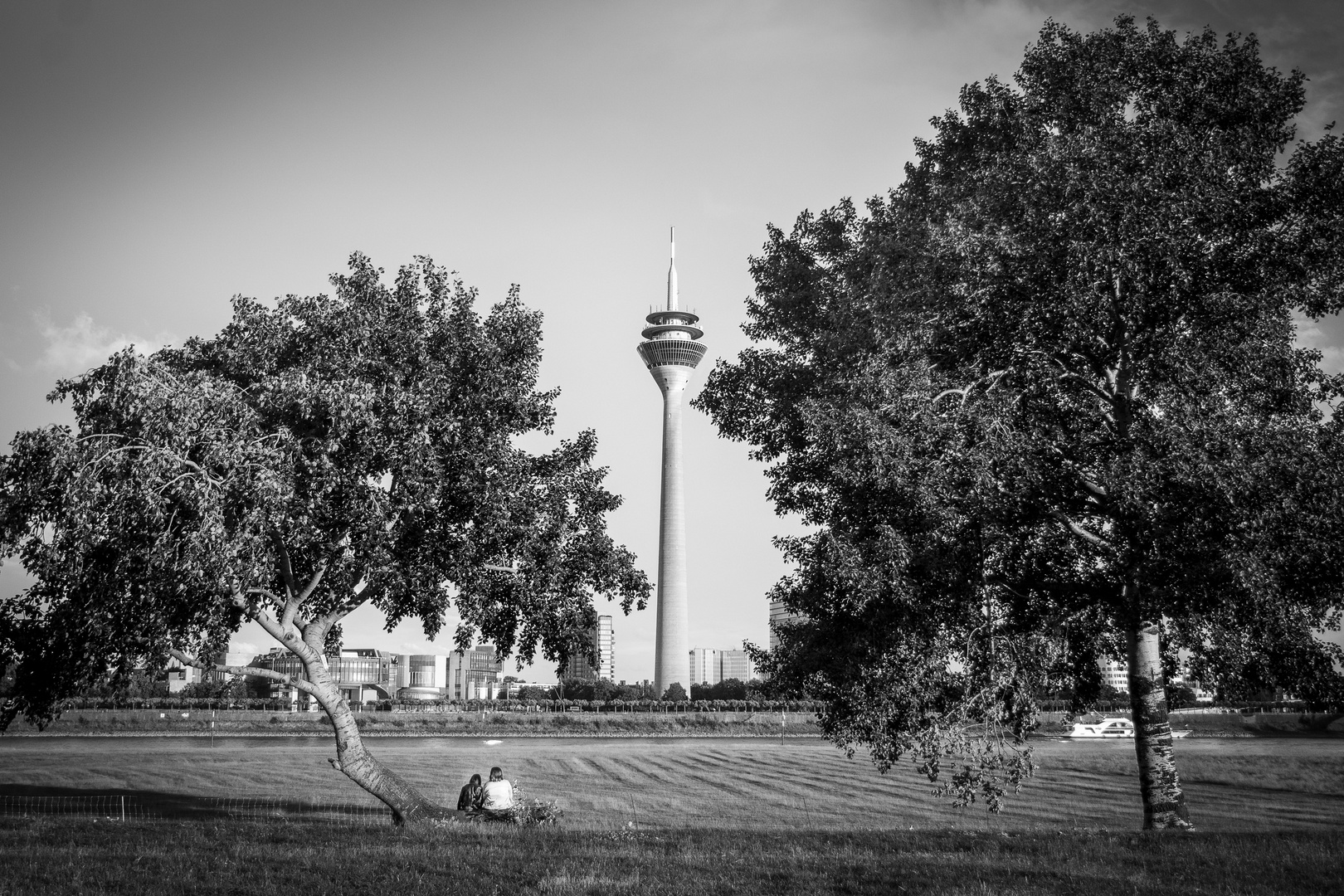 Rhein Turm