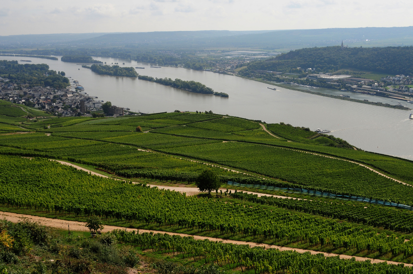 Rhein u. Wein...