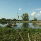 Rhein-Ufer in Duisburg Baerl