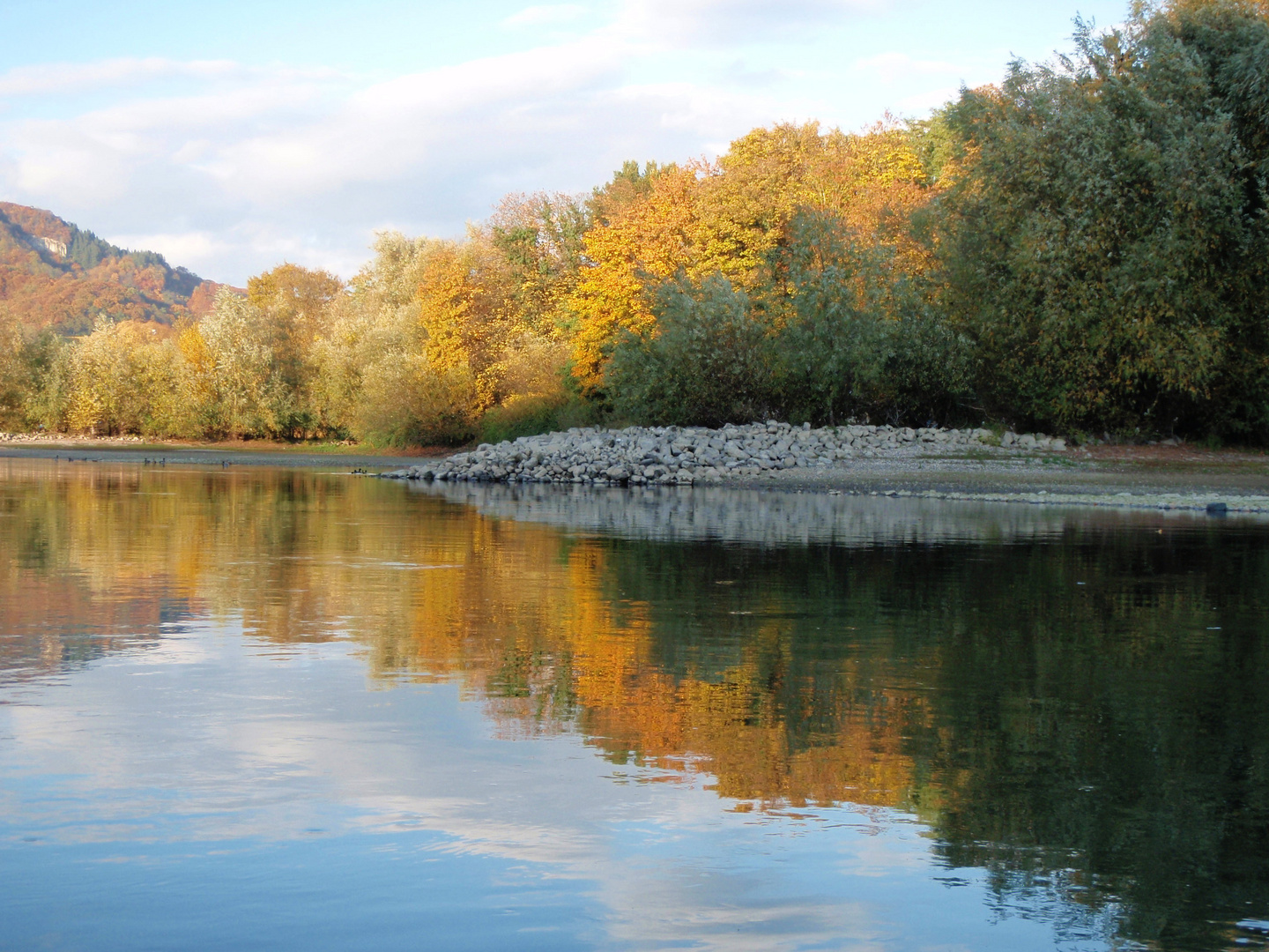 Rhein und die Insel