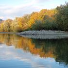 Rhein und die Insel