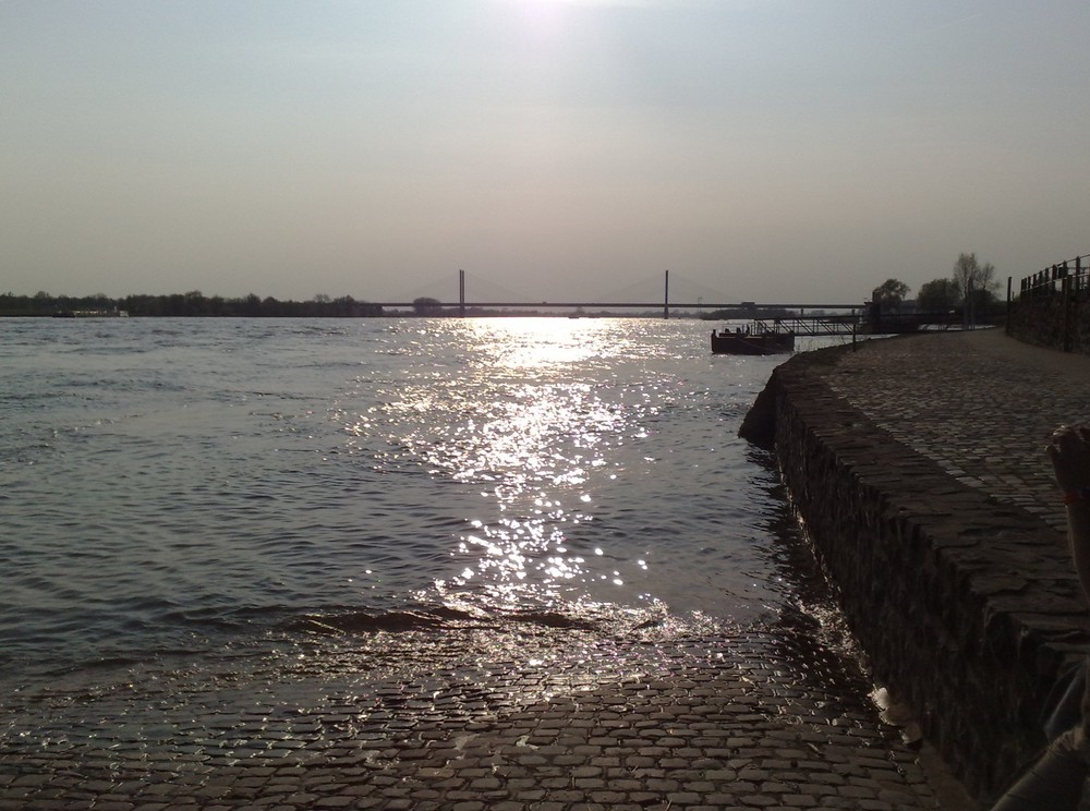 Rhein und Rheinbrücke bei Rees