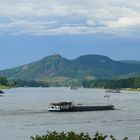 Rhein und Siebengebirge