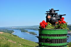 Rhein und Wein